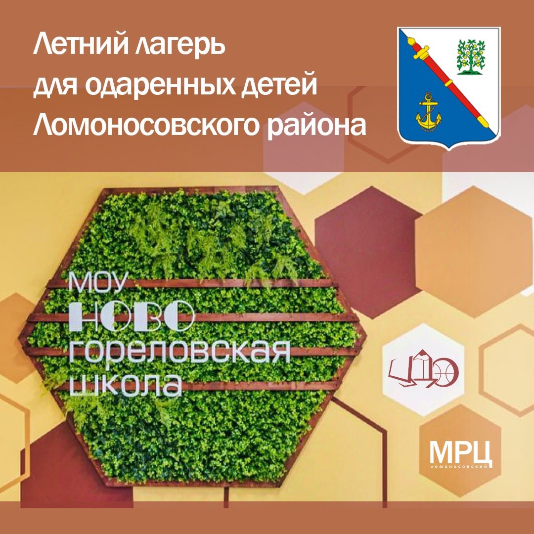 ApDhVOkE1aE